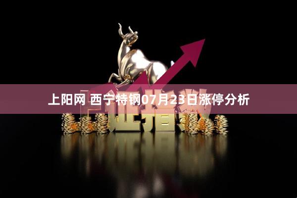 上阳网 西宁特钢07月23日涨停分析