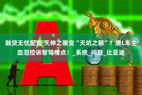 融贷无忧配资 天神之眼变“天坑之眼”？唐L车主血泪控诉智驾槽点！_系统_问题_比亚迪