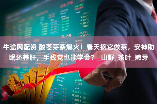 牛途网配资 酸枣芽茶爆火！春天摘它做茶，安神助眠还养肝，手残党也能学会？_山野_茶叶_嫩芽